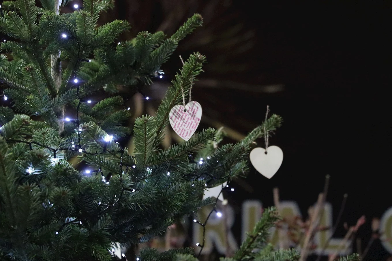 Millwall Community Trust - Lions host Christmas Tree of Remembrance service